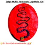 Sorpomukhi Rudraaksh Jop Mala