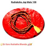 Rudrakha hop mala natural 108 beed / রুদ্রাক্ষ জপ মালা