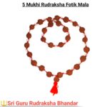 5 mukhi Rudrakha fotik mala
