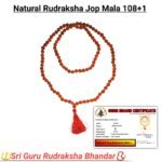 Natural Rudrakha hop mala 108 / sri guru Rudrakha Bhandar
