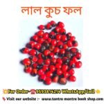 Red Kuch Tantra Mantra Bosikoron,Satru Domon Bij/ লাল কুচ তন্ত্র মন্ত্র বশীকরন, শত্রু দমন বীজ