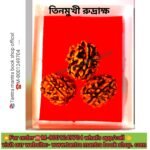 💥3Mukhi Original Nepali Rudraksha/তিন মুখী অরিজিনাল নেপালি রুদ্রাক্ষ