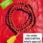 💥Gopuccho Rudraksha Jop Mala (108)/গোপুচ্ছ রুদ্রাক্ষ জপ মালা(108)