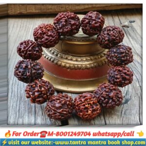 4 mukhi rudraksha breslate/ চার মুখী রুদ্রাক্ষ ব্রেসলেট