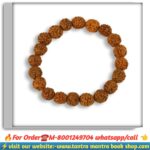 5 mukhi rudraksha breslate / পাঁচ মুখী রুদ্রাক্ষ ব্রেসলেট