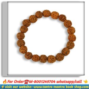 5 mukhi rudraksha breslate / পাঁচ মুখী রুদ্রাক্ষ ব্রেসলেট
