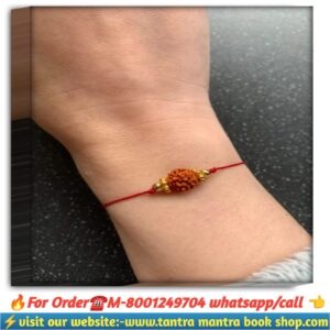 5 mukhi rudraksha/ পাঁচ মুখী রুদ্রাক্ষ