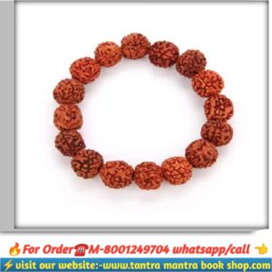 5 mukhi rudraksha breslate / পাঁচ মুখী রুদ্রাক্ষ ব্রেসলেট