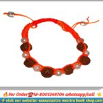 5 mukhi rudraksha breslate / পাঁচ মুখী রুদ্রাক্ষ ব্রেসলেট
