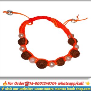 5 mukhi rudraksha breslate / পাঁচ মুখী রুদ্রাক্ষ ব্রেসলেট